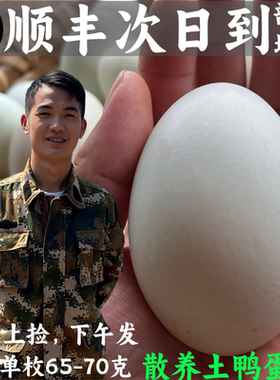 农家散养土鸭蛋新鲜生鸭蛋正宗散养麻鸭子蛋广西水库放养鸭蛋顺丰