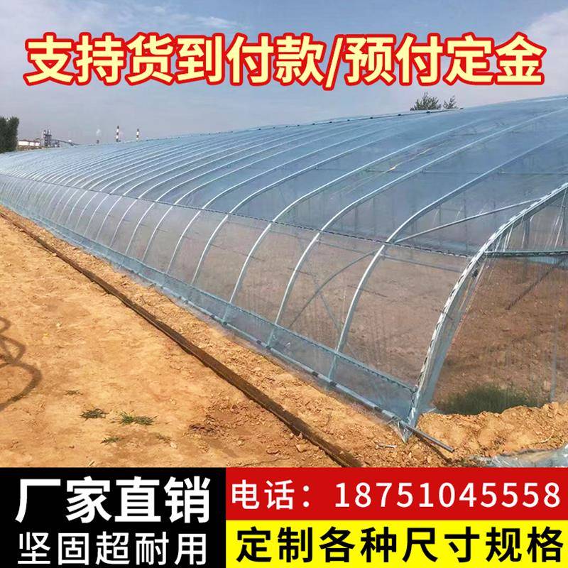 棚养架钢管大室羊农温SBK蔬种植大业大棚配全牛禽件菜殖大棚家全