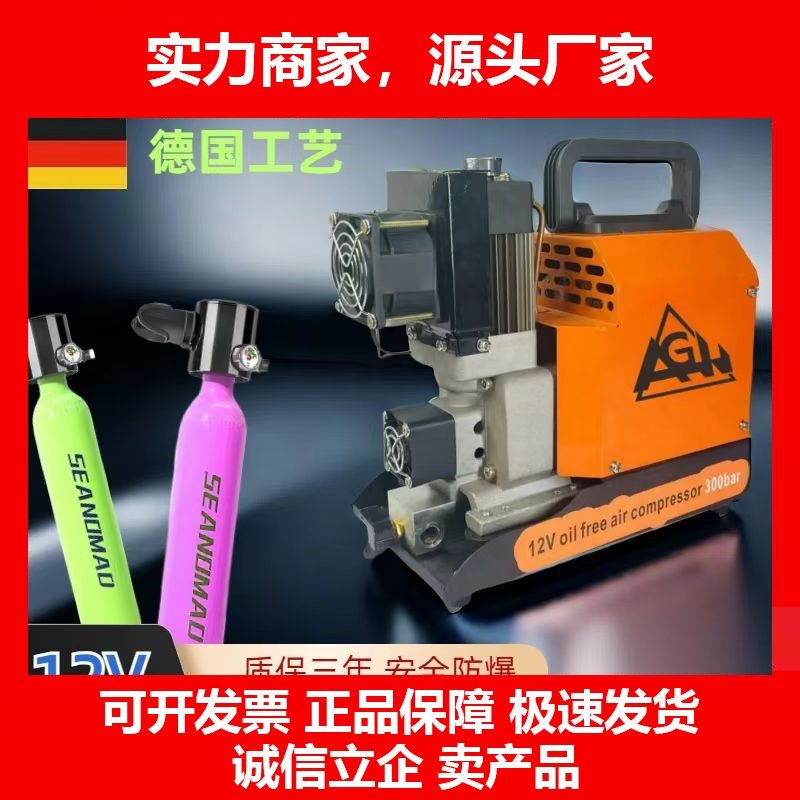 德国十大品牌便携式车载12V高压打气机30mpa家用充气泵大功率呼吸