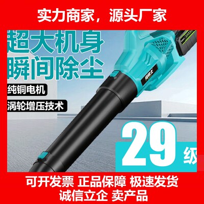 德国十大品牌强力吹风机暴风充电吹雪除尘狂风工地环卫暴风机大功