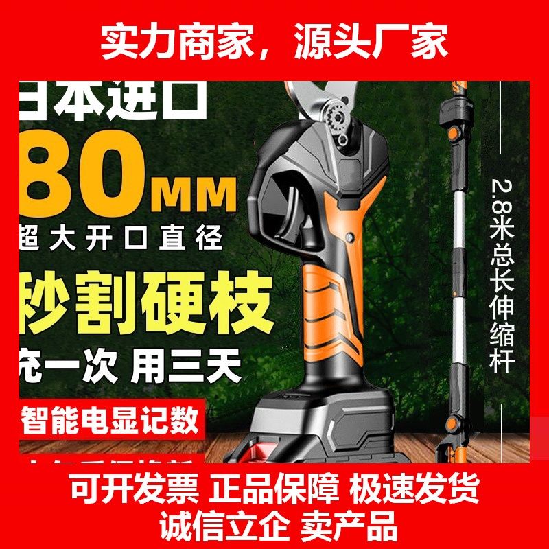德国十大品牌电动修枝剪树枝修剪果树园艺剪子锂电池充电式园林粗