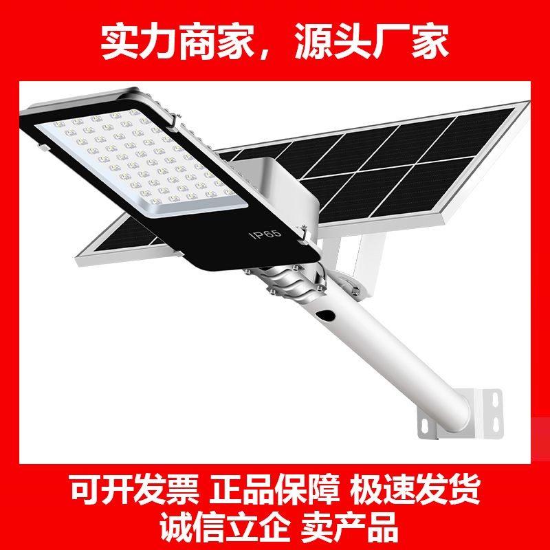 德国十大品牌led太阳能路灯户外照明灯家用灯户外全自动超亮防水