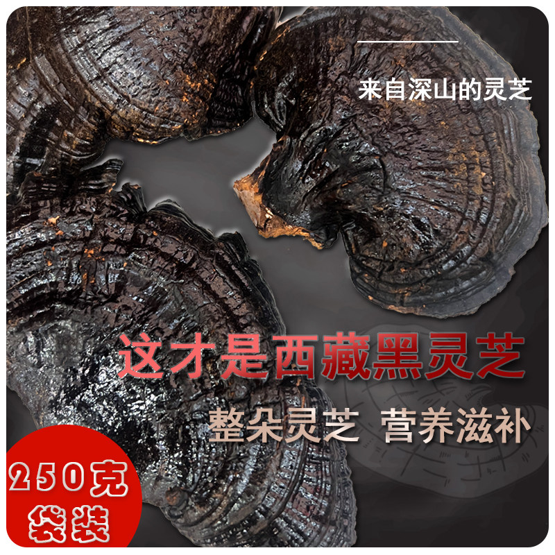 西藏黑灵芝整枝可切片250g林芝干货正品泡酒野生灵芝煮水养生茶