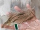 荆州松滋淡水青虾自然观赏体验大眼贼长臂虾活体虾