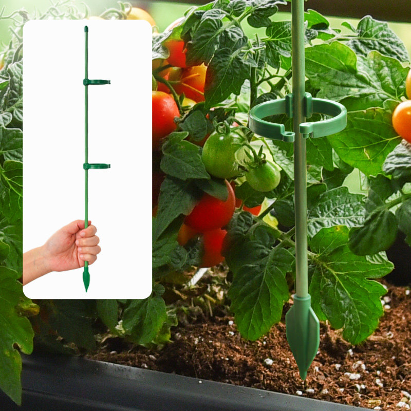 西红柿番茄辣椒固定杆爬藤吊兰园艺花架花支撑架植物防倒伏支撑杆