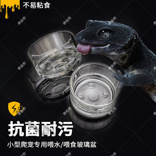 爬虫爬宠水盆食盆透明小号豹纹守宫蜥蜴宠物蛇蜈蚣蜘蛛大号玻璃杯