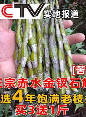 【3斤送1斤】贵州赤水金钗石斛4年新鲜鲜条500克泡酒苦味