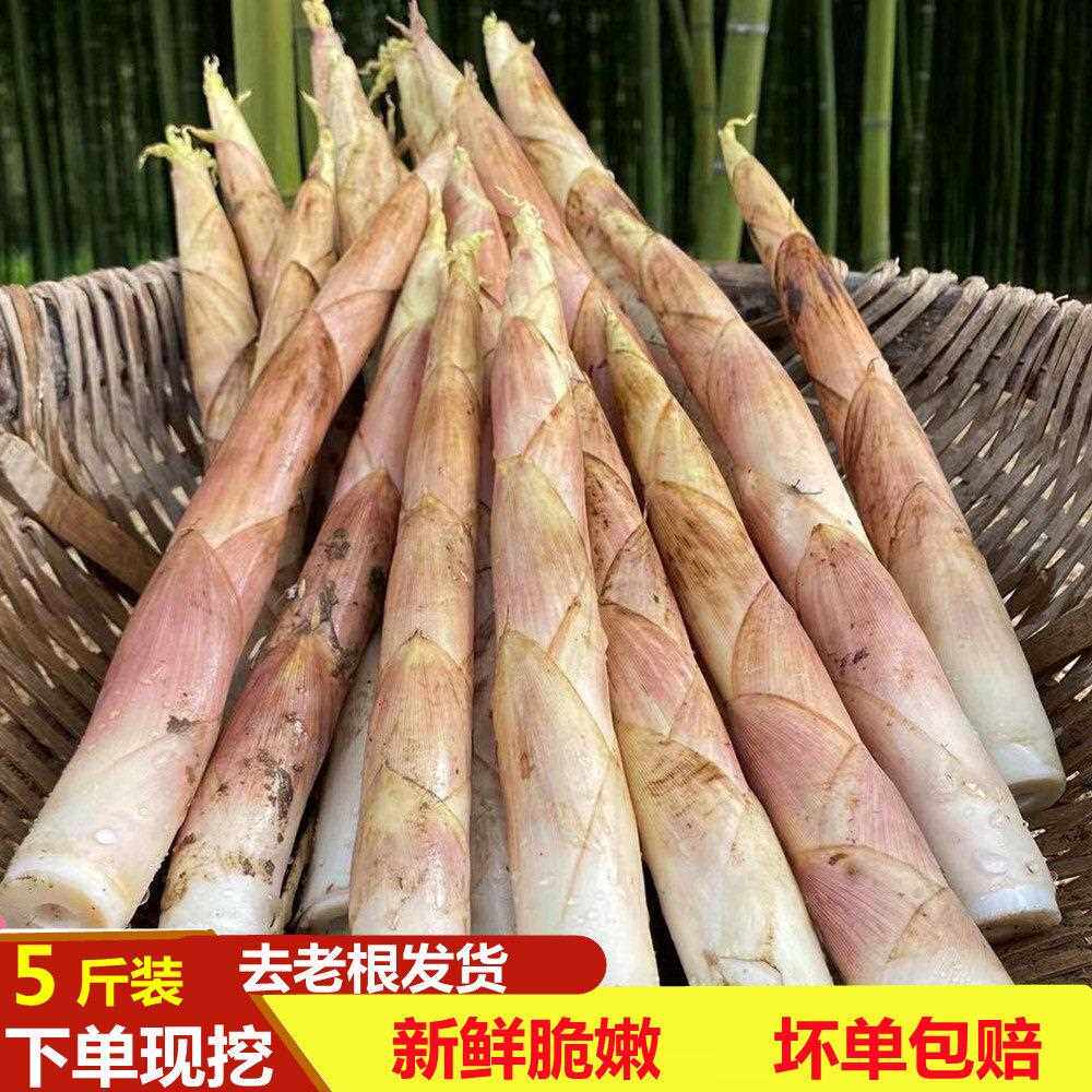 现挖新鲜竹笋秋笋春笋冬笋雷竹笋马鞭笋5斤顺丰包邮当季食用蔬菜