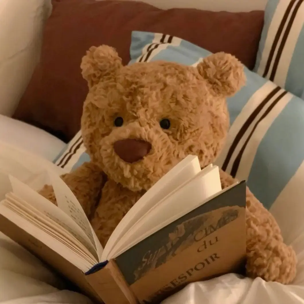 送男生生日礼物创意篮球足球兄弟给弟弟男朋友实用的玩偶可爱公仔