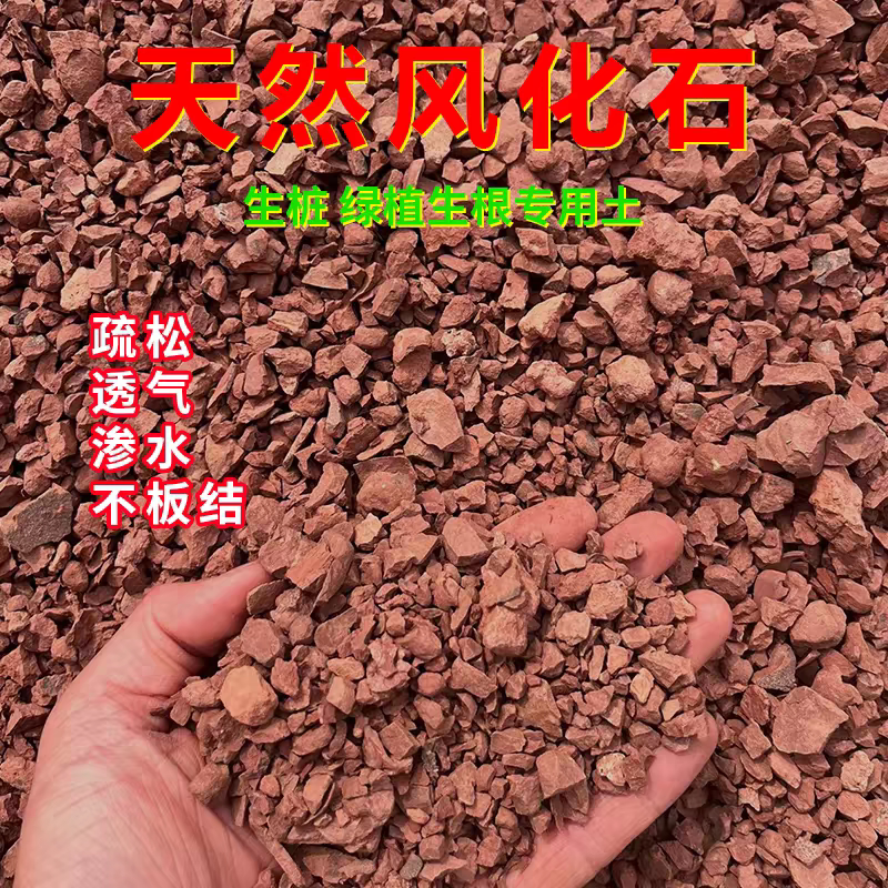 四川风化土盆景造型专用金弹子土