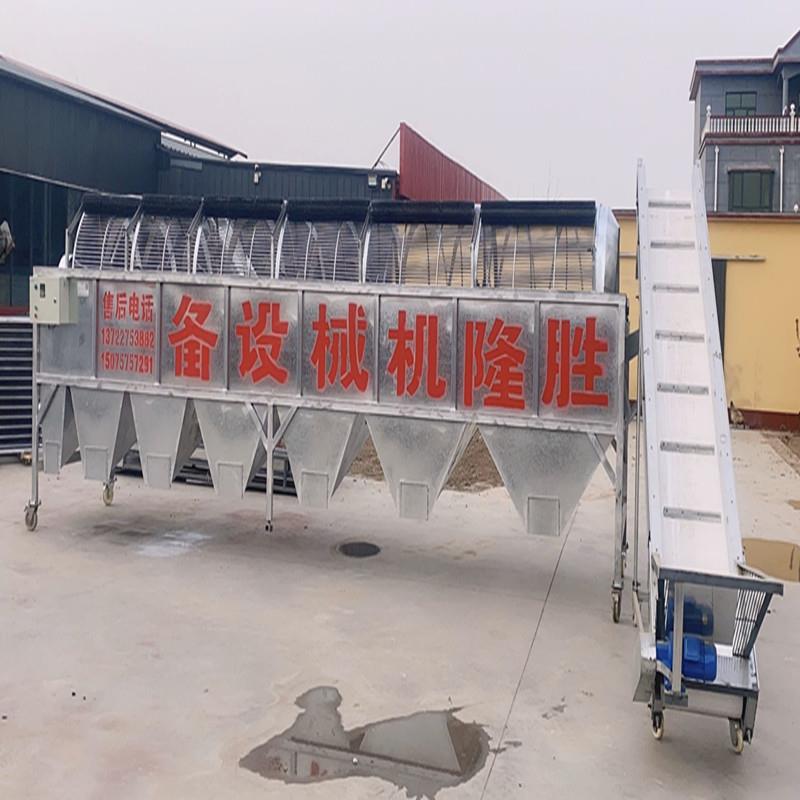 大型灰枣筛选机骏枣滚筒分级厂家供应节能高效筛选均匀简单