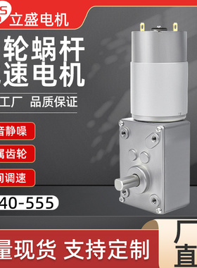 5840-555微型直流减速涡轮蜗杆电机大扭矩小马达12v24v可调速