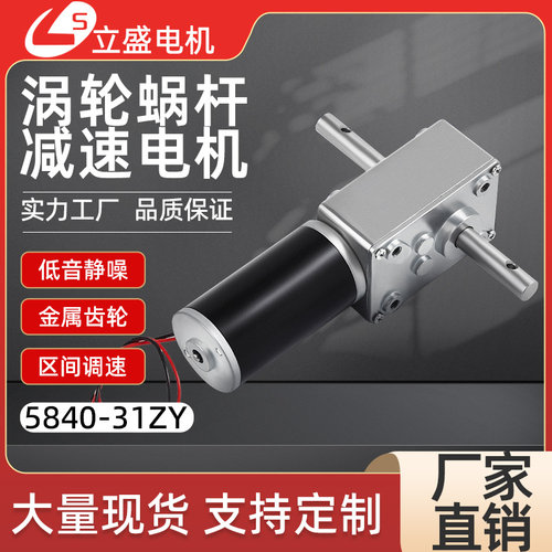 5840-31ZY双轴电机带孔出轴33mm