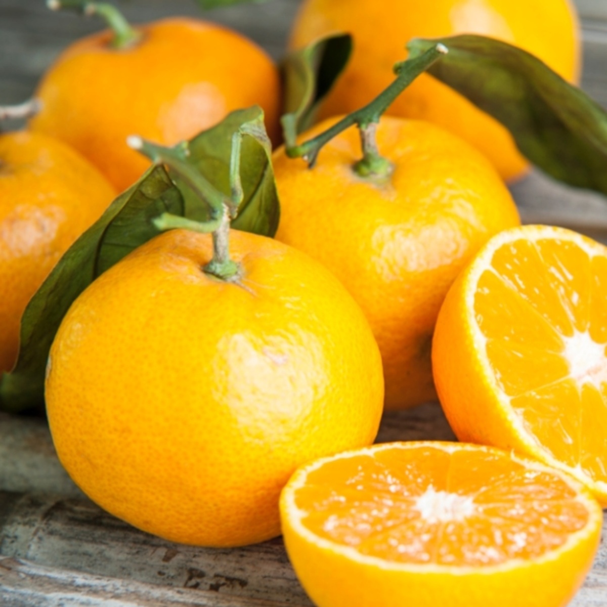 正宗赣南脐橙果园现摘袁老推荐