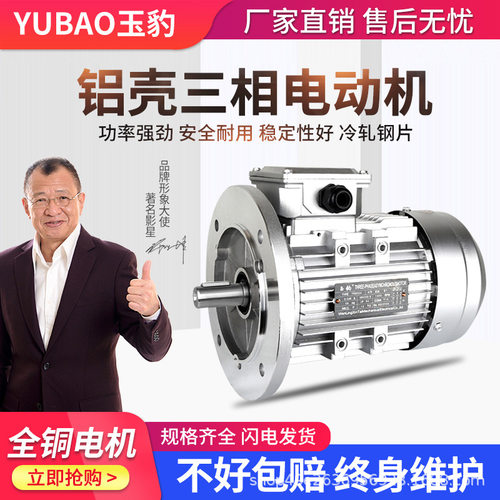 YS铝壳电机0.37/0.55/0.75/1.1/1.5/2.2KW三相异步电动机380V全铜