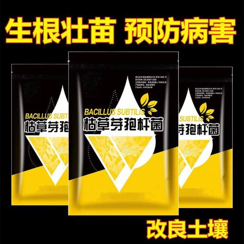 枯草芽孢杆菌枯萎病根腐病白粉病