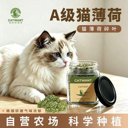 CATWANT猫咪旺农场A级猫薄荷叶片猫猫爱闻逗猫情绪放松解闷自嗨