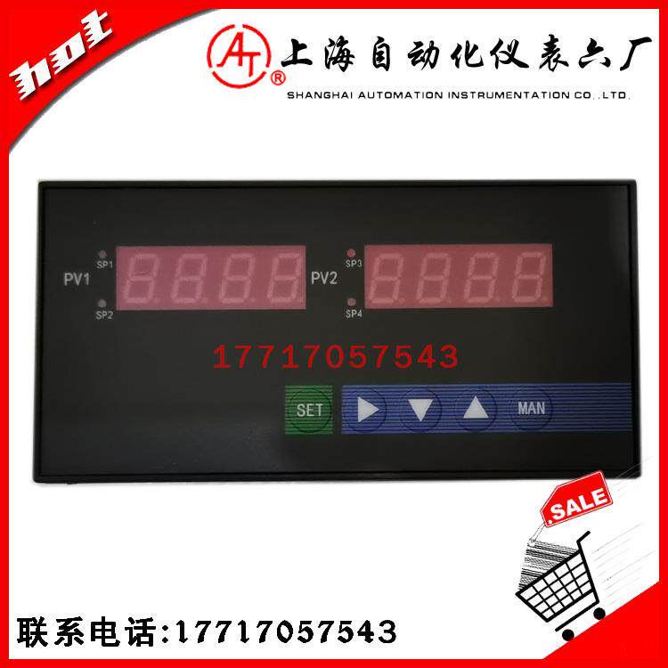 上海自动化仪表六厂XTMA-200智能双通道数字显示仪数显表XTMD/F/C