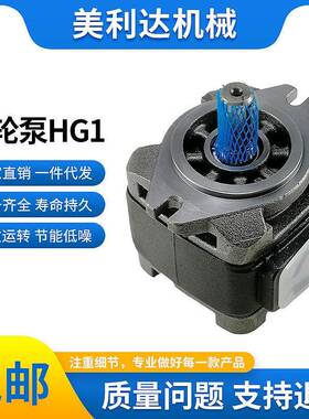 伺服泵HG0/1/2-8/16/25/40/63/80/160-01R-VPC液压内啮合齿轮油泵