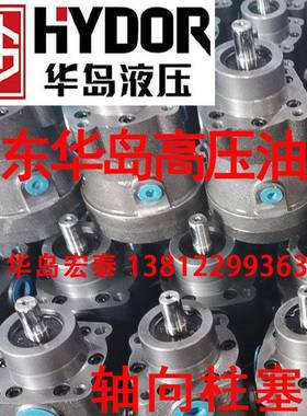 HDYB 华岛油泵 启东华岛高压油泵HD2.5M-RP 1.25MCY14-1B HD5M-RP