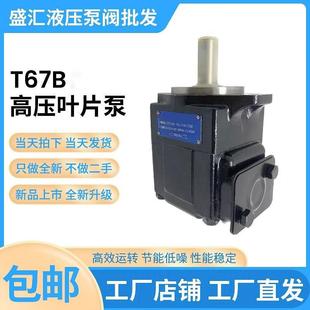 A1M0 1R02 VC00叶片泵T6CT6DT6E液压定量泵工程机械油泵 B04 T67B