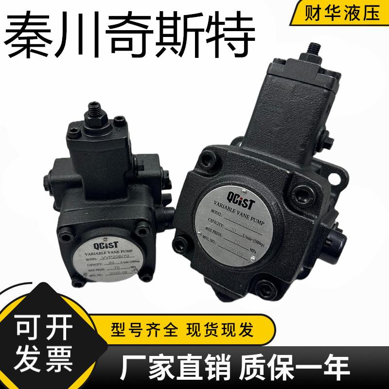 QCIST秦川奇斯特液压油泵VVP20B/55 VVP30B/55叶片泵VVP40B/70