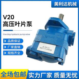 8S9S 1S7S 1S9S 1S10S 1S12S液压叶片油泵 定量泵V20 1S11S 1S6S