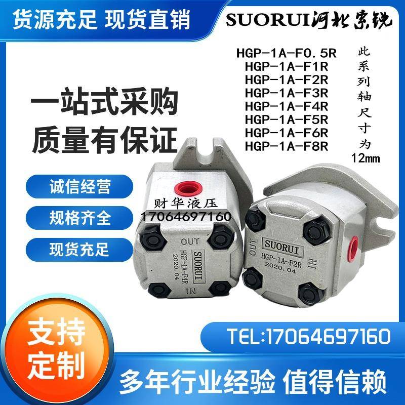 HGP-1A-F6R高压齿轮泵HGP-1A-F4R/F2R/F8R/F1R/F5R/F3R液压齿轮泵