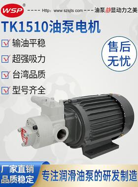 台湾品质志观同款 润滑油泵 TK-1510 6S 可调压润滑油泵TK-1508