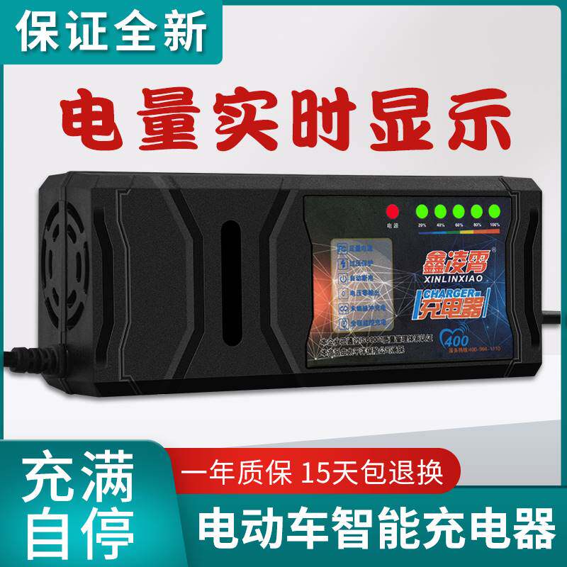 路基亚自动关机智能电动车电瓶充电器48V12AH60V20AH72V30A孔通用