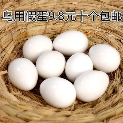 金青灰燕玉鸟文鸟鹦鹉假蛋塑料蛋替窝蛋实心鸟蛋仿真蛋支撑蛋包邮