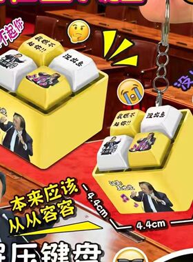 新款王世坚从从容容发光语音发音按键按钮键盘挂件钥匙扣解压玩具