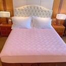 艾草床笠夹棉加厚席梦思床垫保护罩防滑固定防尘床套单床笠kk