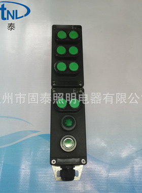 BZA8050防爆防腐电动葫芦按钮  10钮12钮远程双排钮行车主令控制