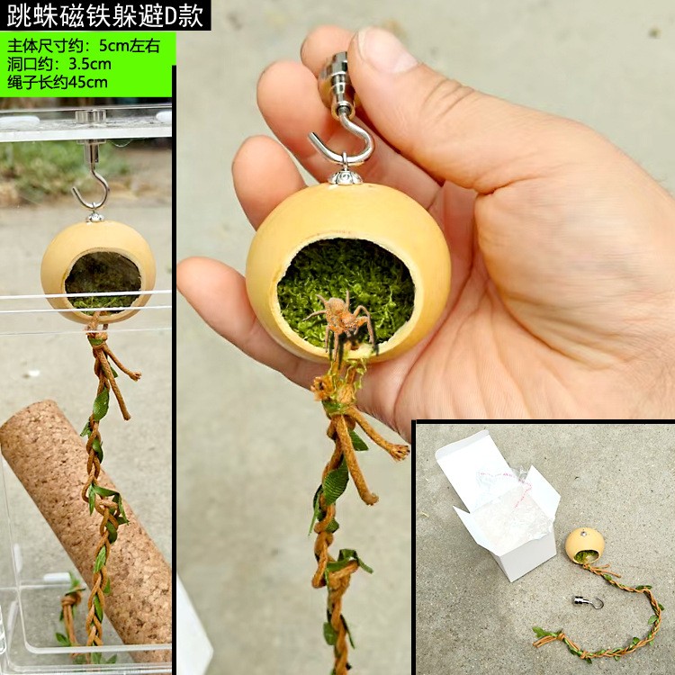 爬虫小型守宫壁虎躲避攀爬磁吸跳蛛躲避树蛙螳螂佛罗里达跳珠躲避