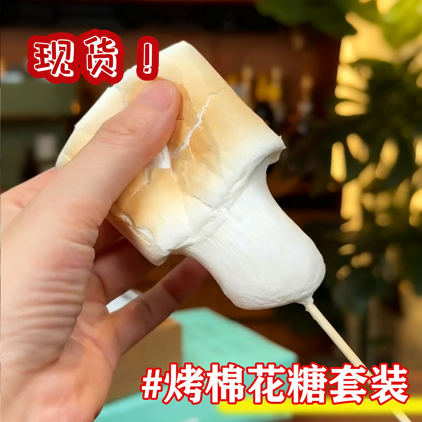 烤棉花糖自嗨炉烤棉花糖套装自烤可以烤的机炉子diy饼干,零食/坚果/特产,其它,淘宝优惠券,粉丝福利购,淘宝优惠卷