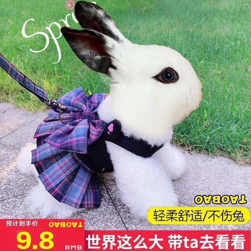 兔子牵引绳可伸缩遛宠物小侏儒垂耳兔专用的衣服防挣脱可爱溜绳子