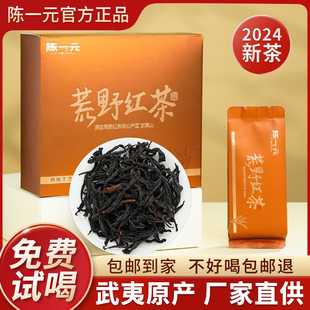 陈一元荒野红茶正宗武夷山野生红茶2025新茶浓香型古树红茶叶品鉴