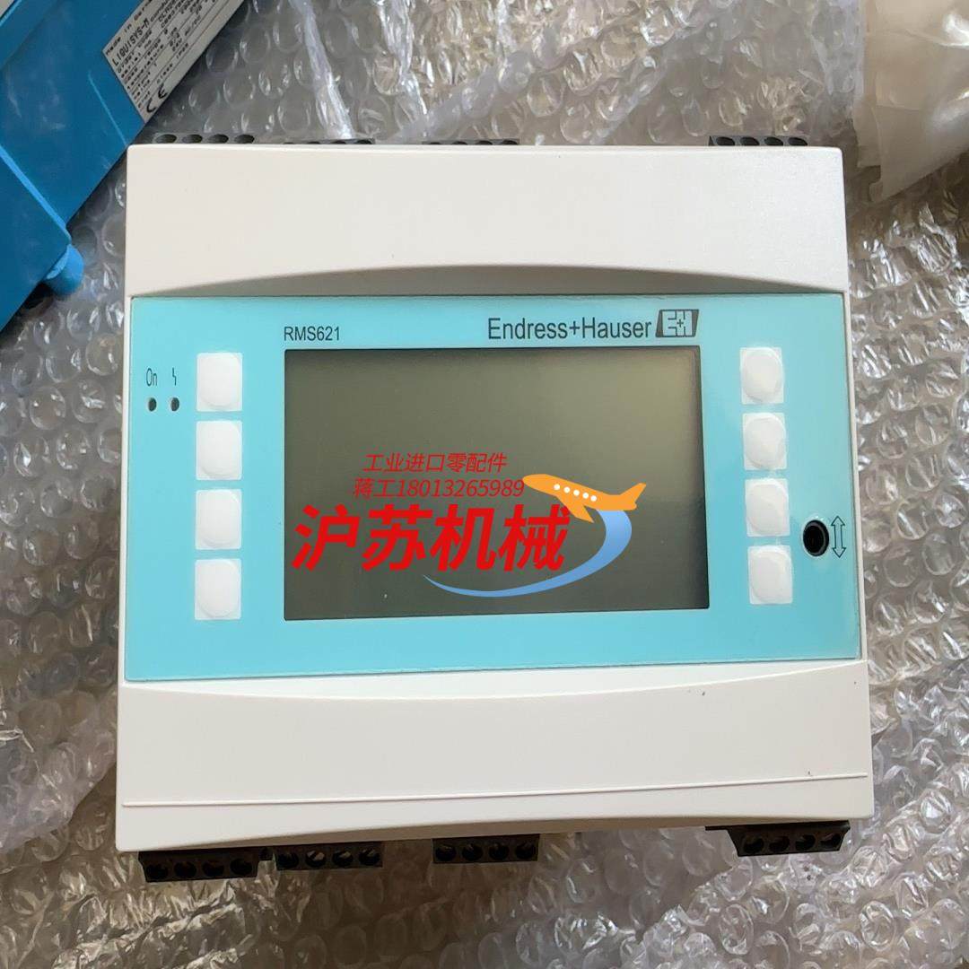 EH能量汁算仪 ENDRESSHAUSER  RMS6