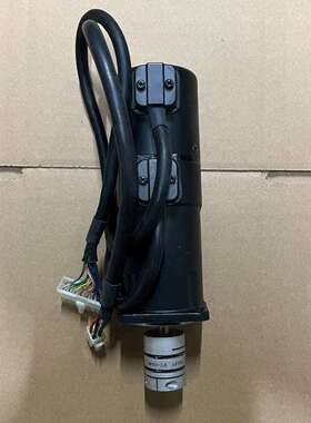 BNE012C WACOGIKEN马达