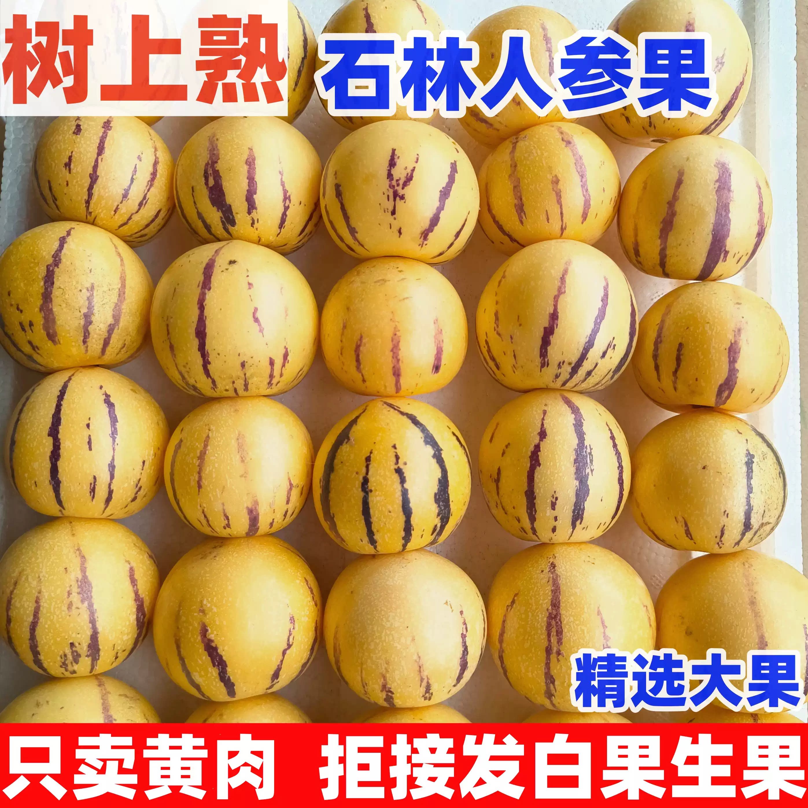 云南人参果新鲜水果当季现摘人参果整箱包邮新鲜人参果树上熟圆果