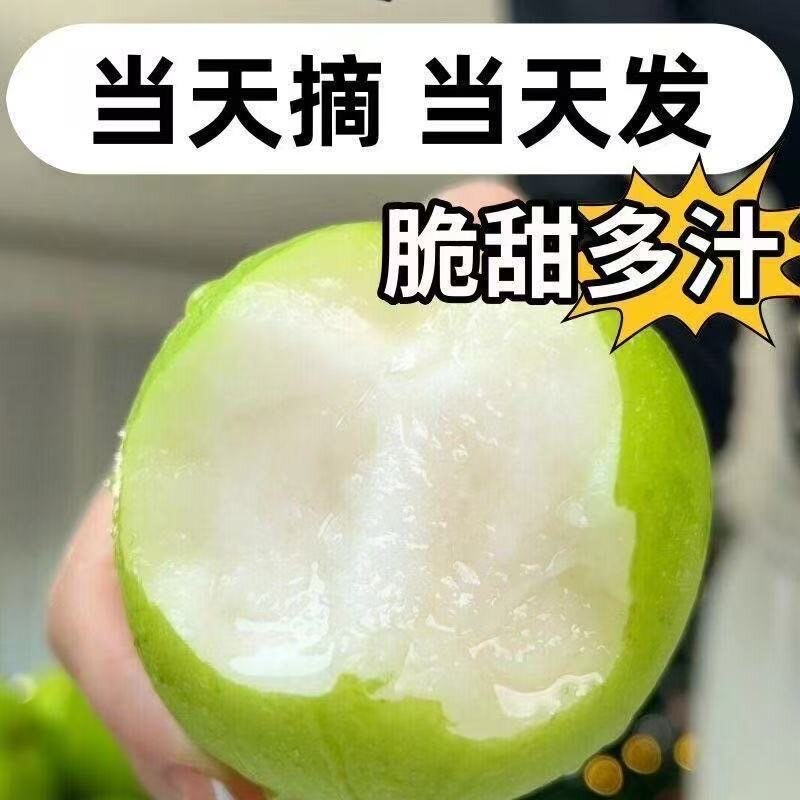 牛奶青枣5斤牛奶果新鲜现摘贵妃奶枣奶油青枣脆甜应季水果整箱