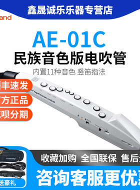 Roland罗兰电吹管乐器AE01 ae0501c初学入门电子萨克斯葫芦丝笛子
