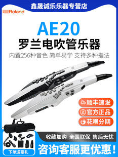 Roland罗兰电吹管乐器AE20AE30中老年人娱乐初学电子萨克斯葫芦丝