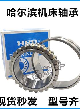 HRB 哈尔滨 轴承 NN3021K/P4W33 机床轴承 C3182121 105*160*41