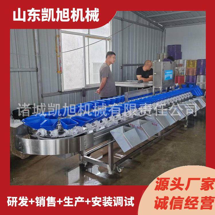 螃蟹重量分选机 海参多级分头机 海产品重量筛选分捡设备厂家,五金/工具,其他包装设备,淘宝优惠券,粉丝福利购,淘宝优惠卷