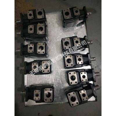 T7GB-B05-6R00-A101,T7GB-B05-6R01-A101压塑机油泵 叶片泵厂家