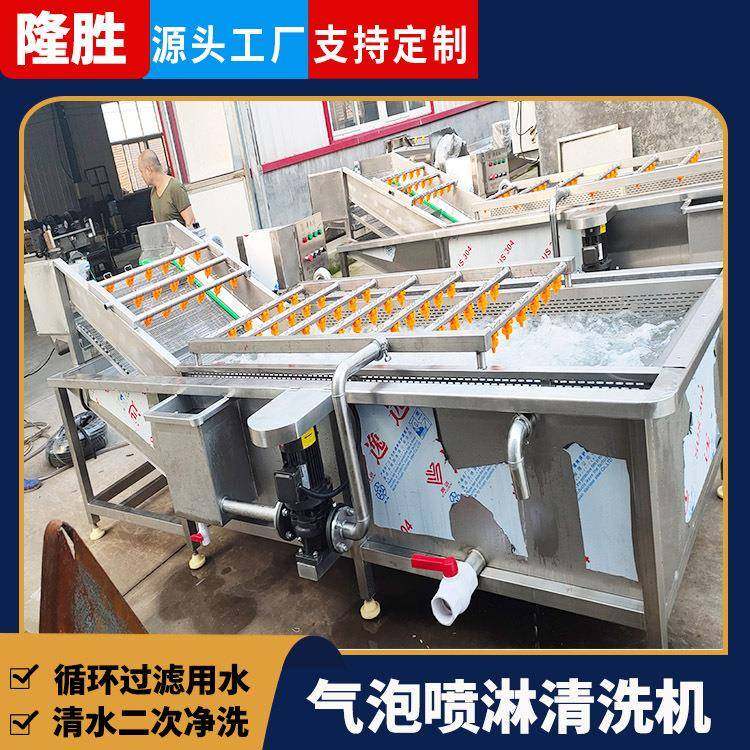 杨梅气泡清洗机 鼓泡式果蔬清洗机械 大型全自动蔬菜洗菜机,清洗/食品/商业设备,果蔬加工设备,淘宝优惠券,粉丝福利购,淘宝优惠卷