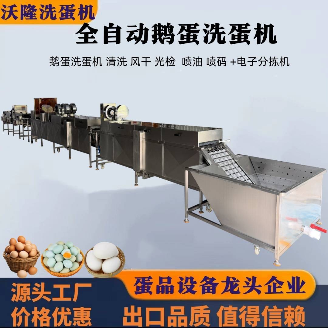 鹅蛋洗蛋机清洗风干流水线  鹅蛋清洗加工流水线对接电子分拣机