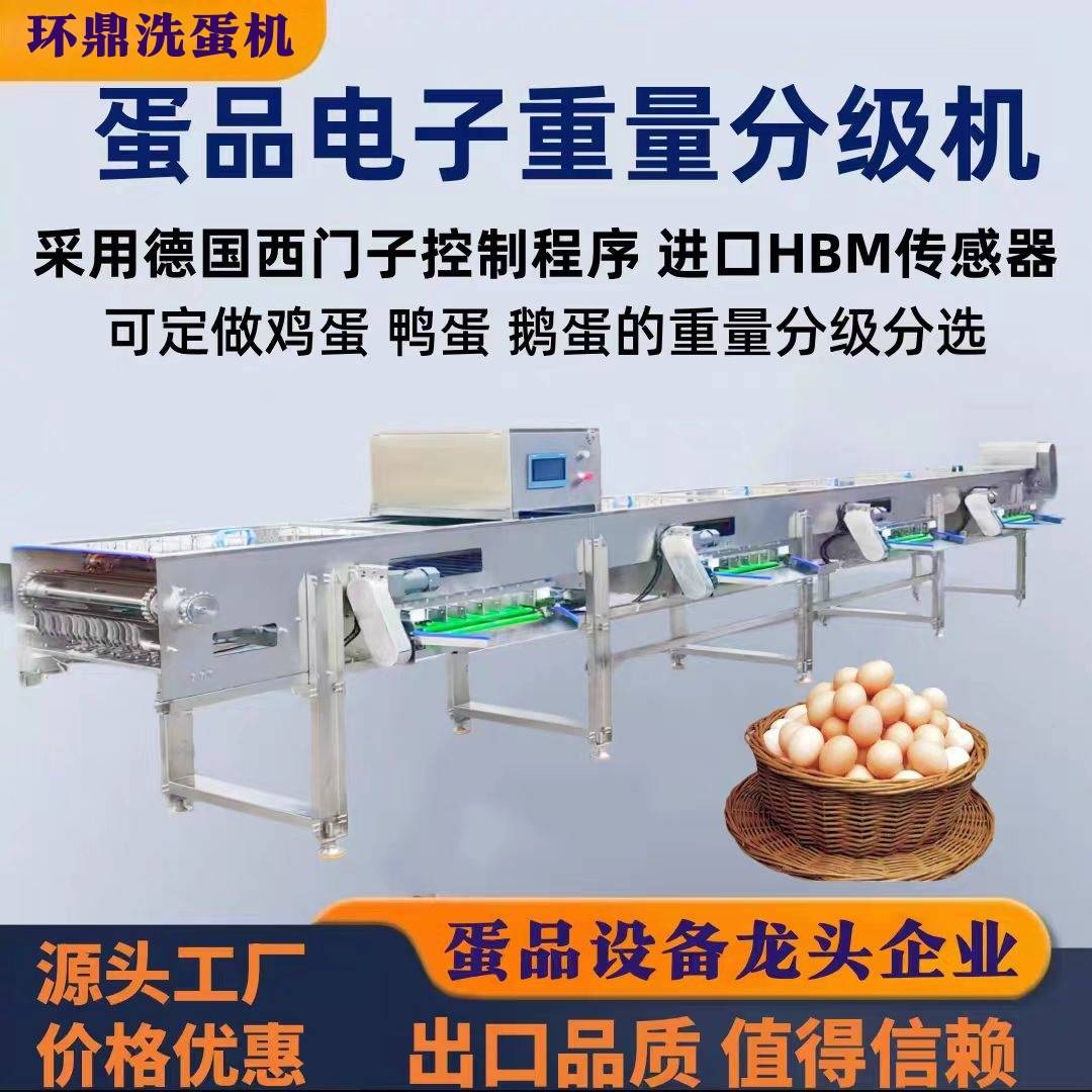 全自动六排蛋品电子分拣机鸡蛋鸭蛋鹅蛋分拣大小鸡蛋精准分级设备
